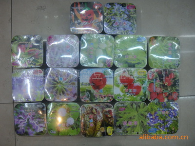 方寸間的綠意詩篇 微型盆景DIY與創(chuàng)意園藝生活